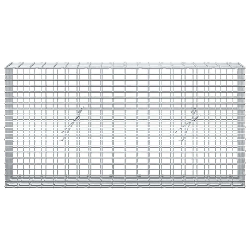 vidaXL Gabion z drutu 3,5 mm i siatką 5x2,5 cm 100x20x50 cm