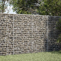 vidaXL Gabion z drutu 3,5 mm i siatką 5x2,5 cm 100x20x100 cm