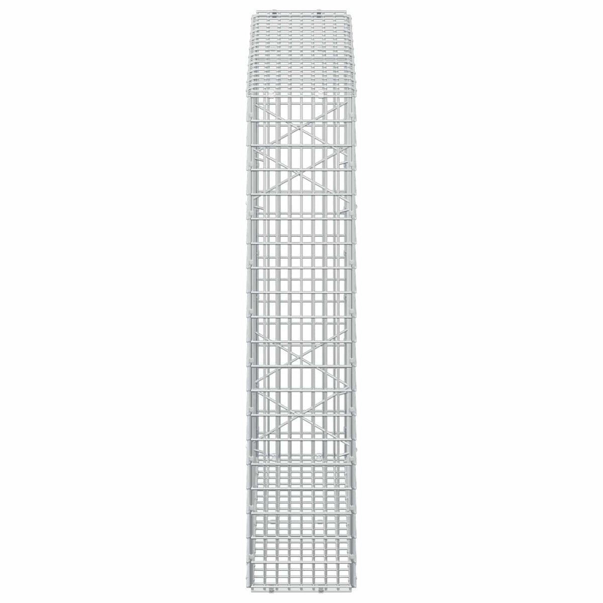 vidaXL Gabion z drutu 3,5 mm i siatką 5x2,5 cm 100x20x100 cm