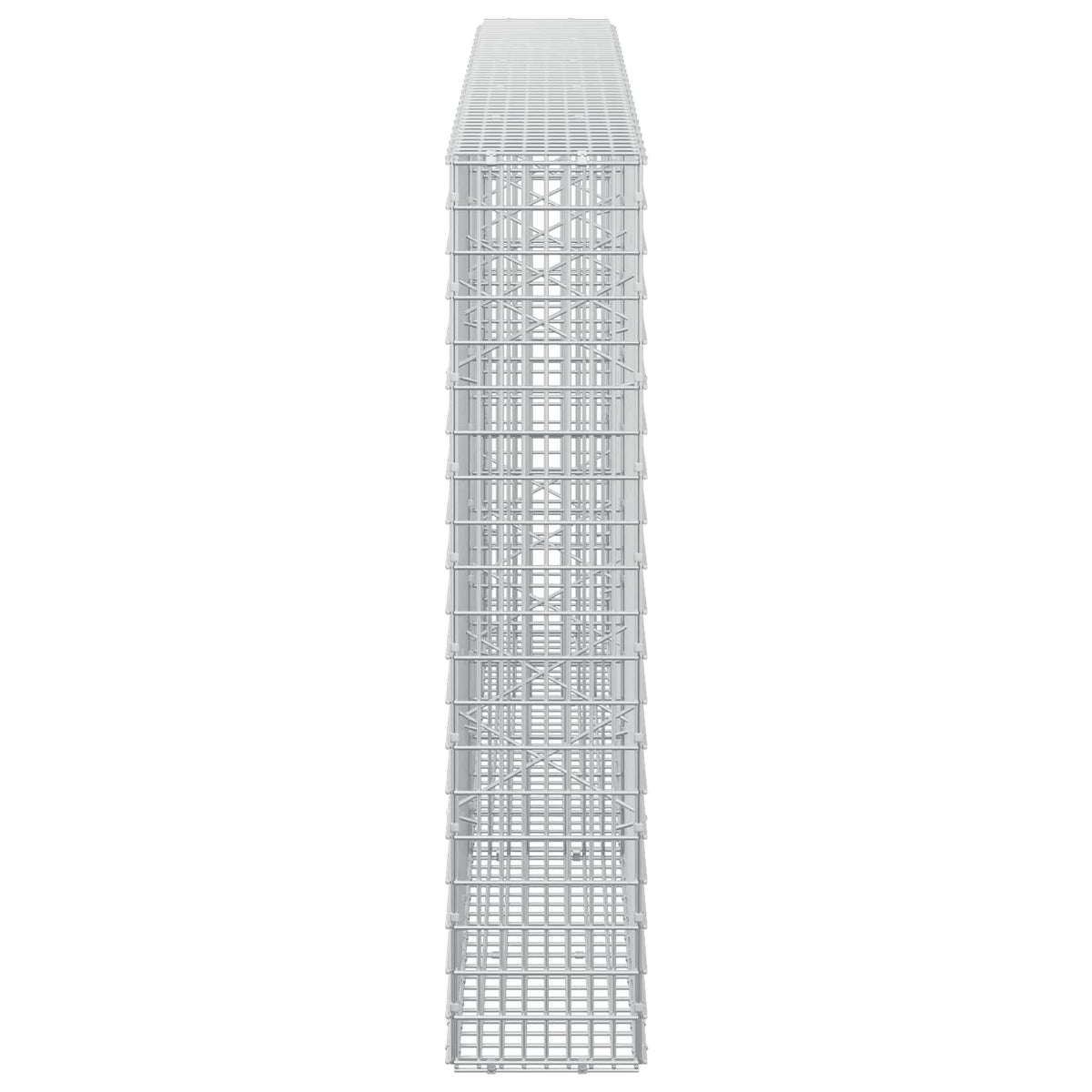 vidaXL Gabion z drutu 3,5 mm i siatką 5x2,5 cm 250x20x100 cm