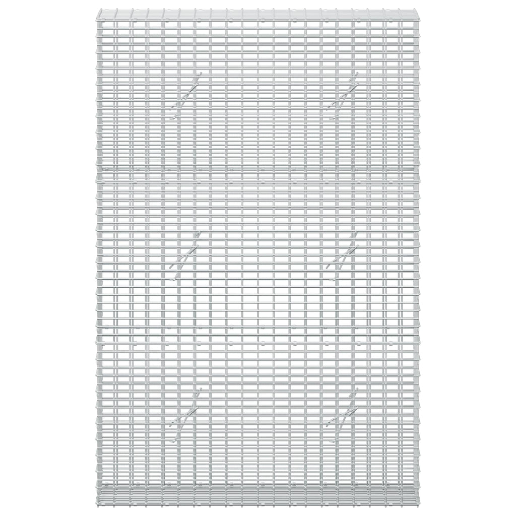 vidaXL Gabion z drutu 3,5 mm i siatką 5x2,5 cm 100x20x150 cm