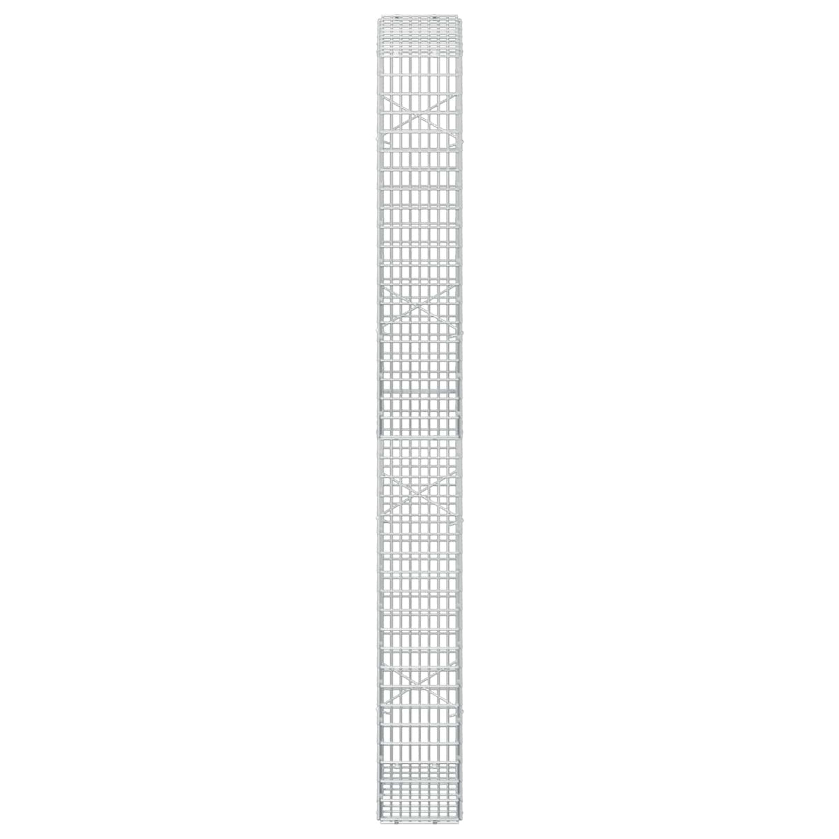 vidaXL Gabion z drutu 3,5 mm i siatką 5x2,5 cm 50x20x200 cm