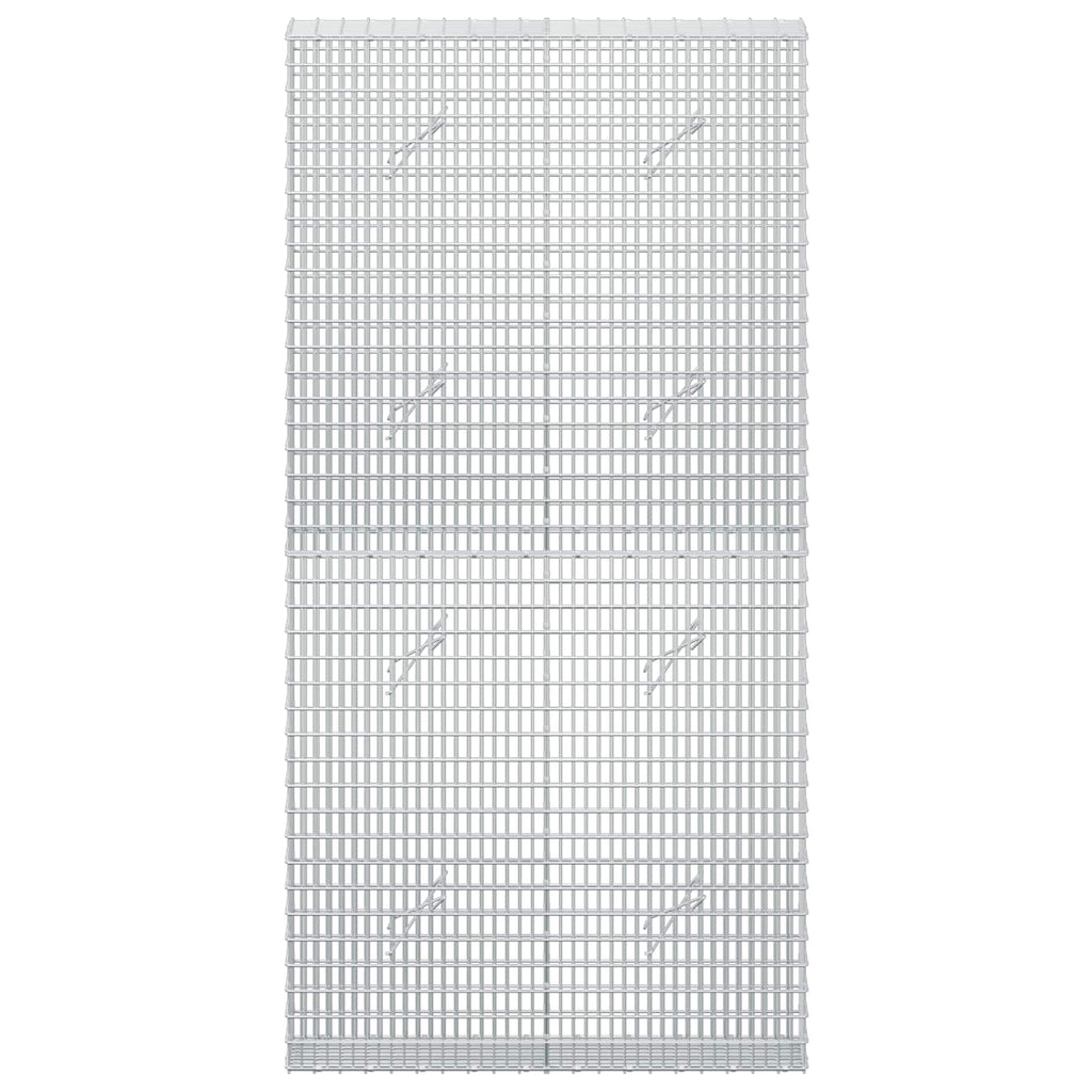 vidaXL Gabion z drutu 3,5 mm i siatką 5x2,5 cm 100x20x200 cm