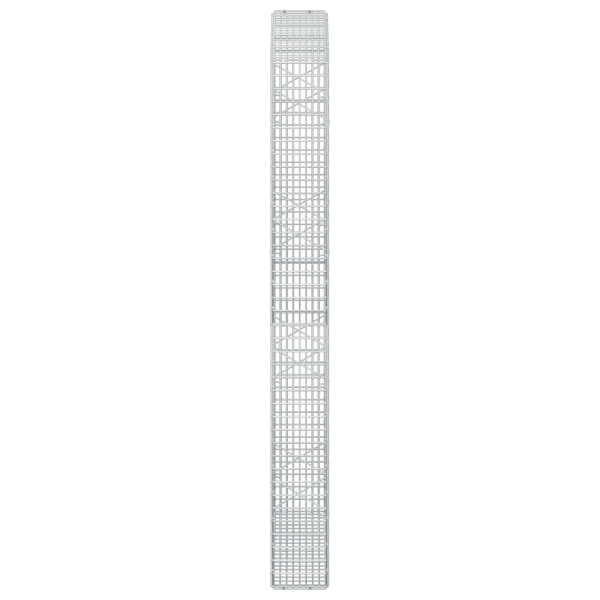 vidaXL Gabion z drutu 3,5 mm i siatką 5x2,5 cm 100x20x200 cm