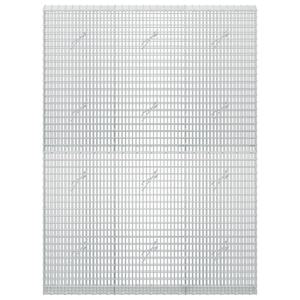 vidaXL Gabion z drutu 3,5 mm i siatką 5x2,5 cm 150x20x200 cm