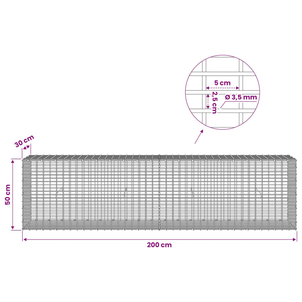 vidaXL Gabion z drutu 3,5 mm i siatką 5x2,5 cm 200x30x50 cm