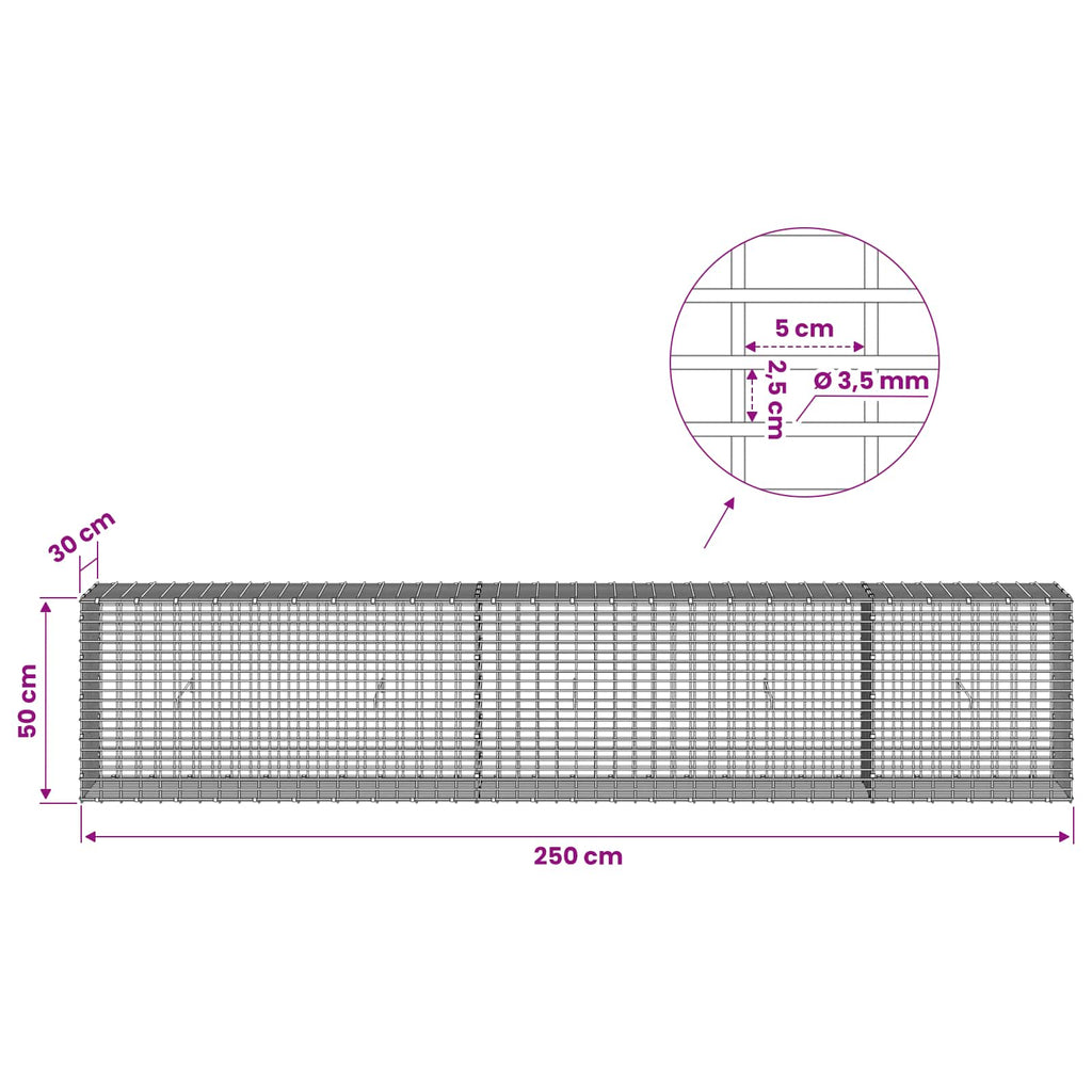vidaXL Gabion z drutu 3,5 mm i siatką 5x2,5 cm 250x30x50 cm