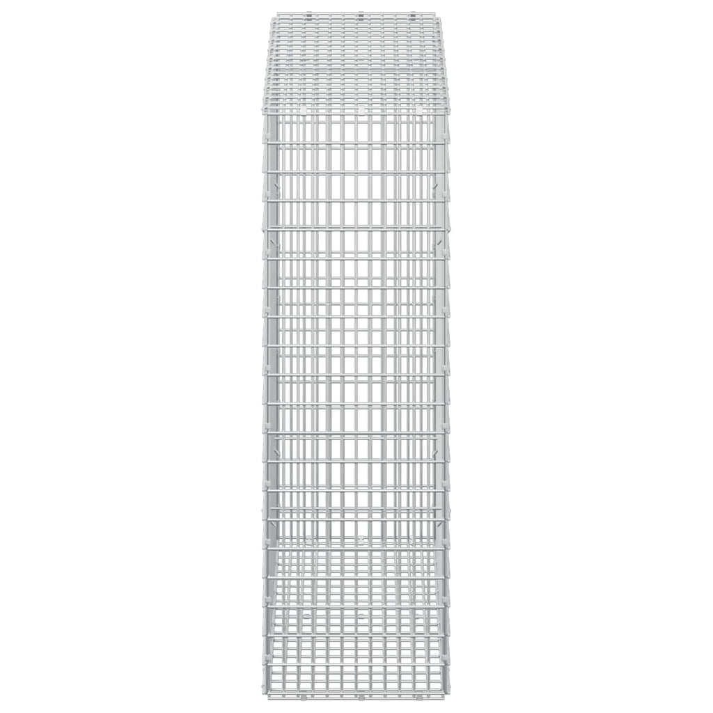 vidaXL Gabion z drutu 3,5 mm i siatką 5x2,5 cm 100x30x100 cm