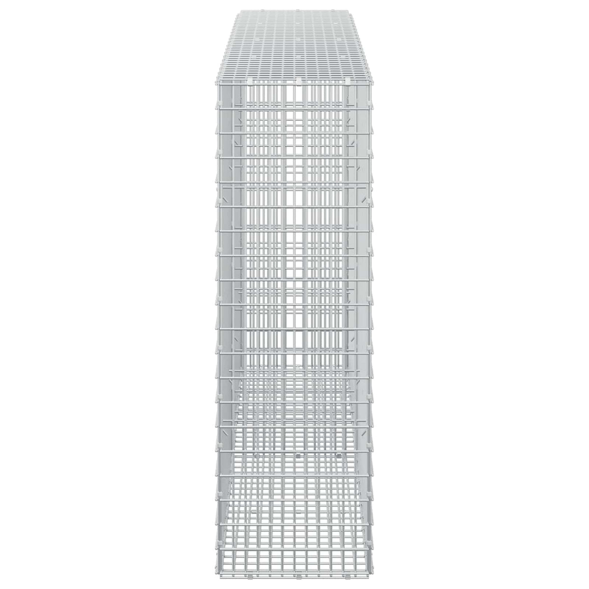 vidaXL Gabion z drutu 3,5 mm i siatką 5x2,5 cm 200x30x100 cm