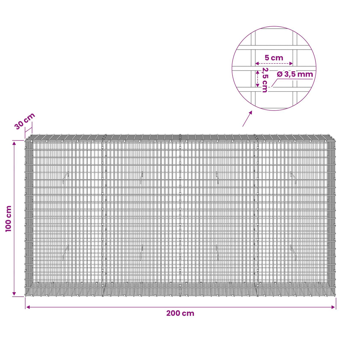vidaXL Gabion z drutu 3,5 mm i siatką 5x2,5 cm 200x30x100 cm