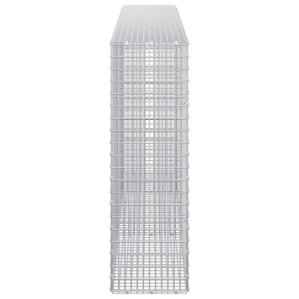 vidaXL Gabion z drutu 3,5 mm i siatką 5x2,5 cm 250x30x100 cm