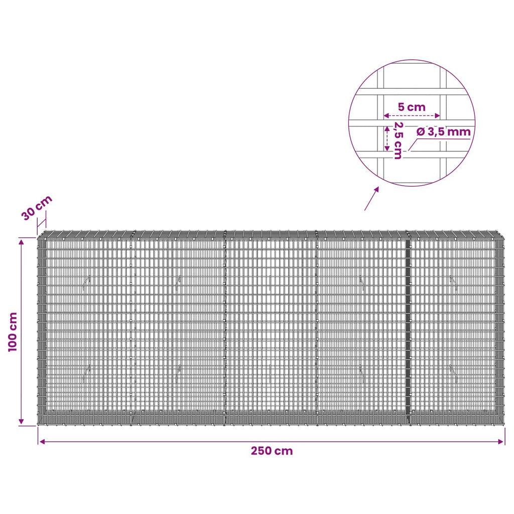 vidaXL Gabion z drutu 3,5 mm i siatką 5x2,5 cm 250x30x100 cm