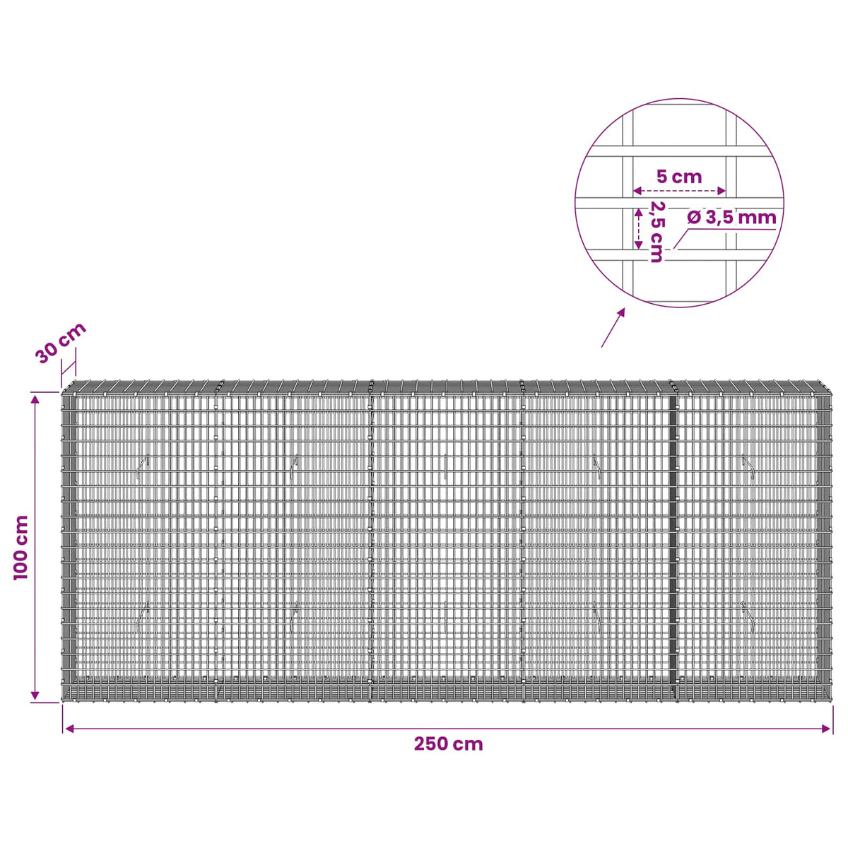 vidaXL Gabion z drutu 3,5 mm i siatką 5x2,5 cm 250x30x100 cm
