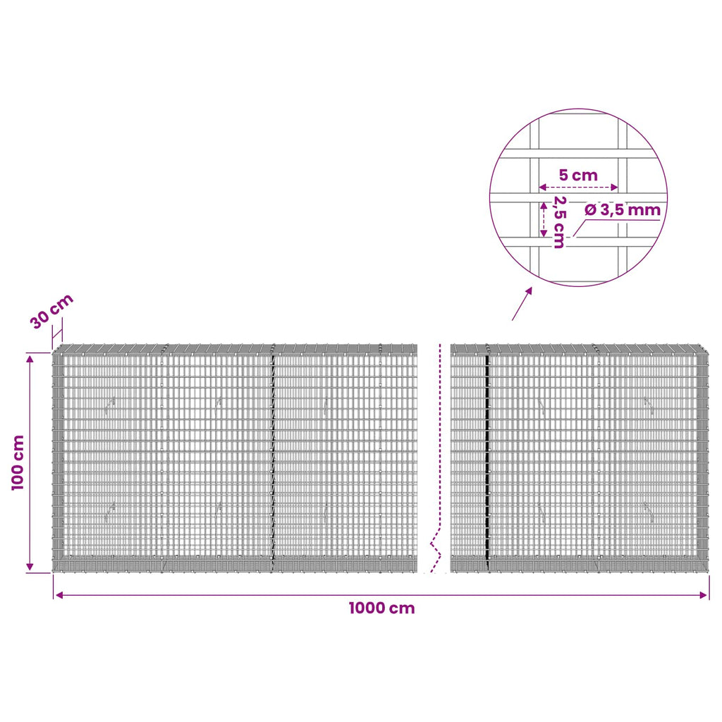 vidaXL Gabion z drutu 3,5 mm i siatką 5x2,5 cm 1000x30x100 cm