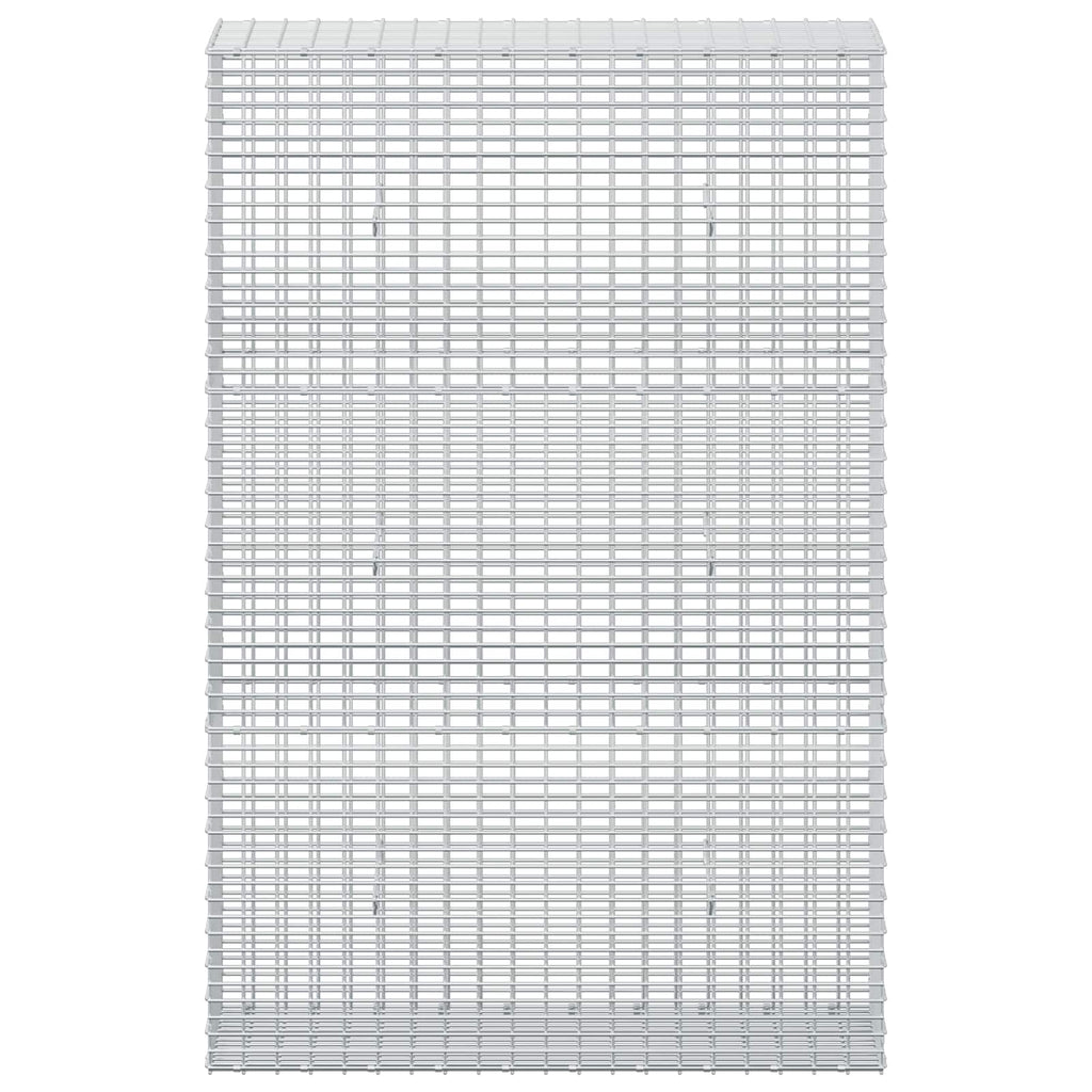 vidaXL Gabion z drutu 3,5 mm i siatką 5x2,5 cm 100x30x150 cm
