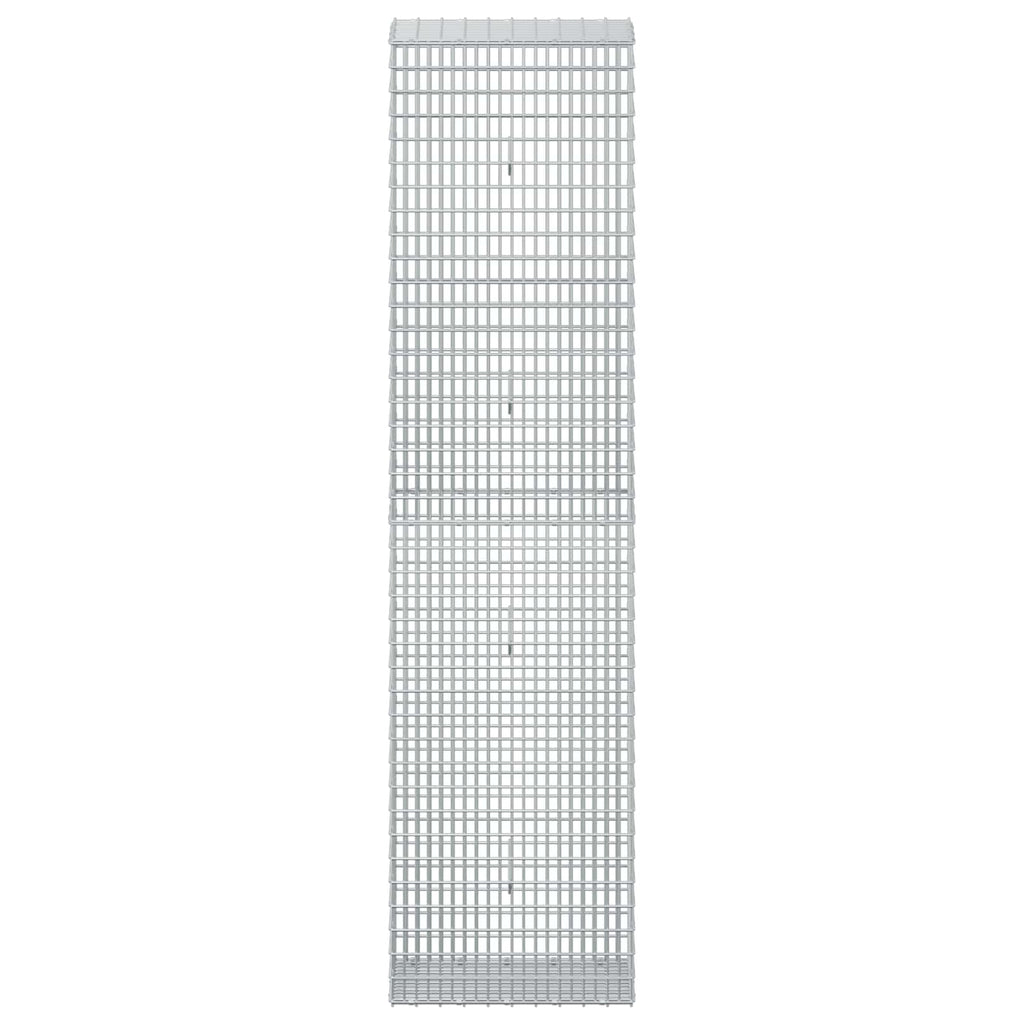 vidaXL Gabion z drutu 3,5 mm i siatką 5x2,5 cm 50x30x200 cm