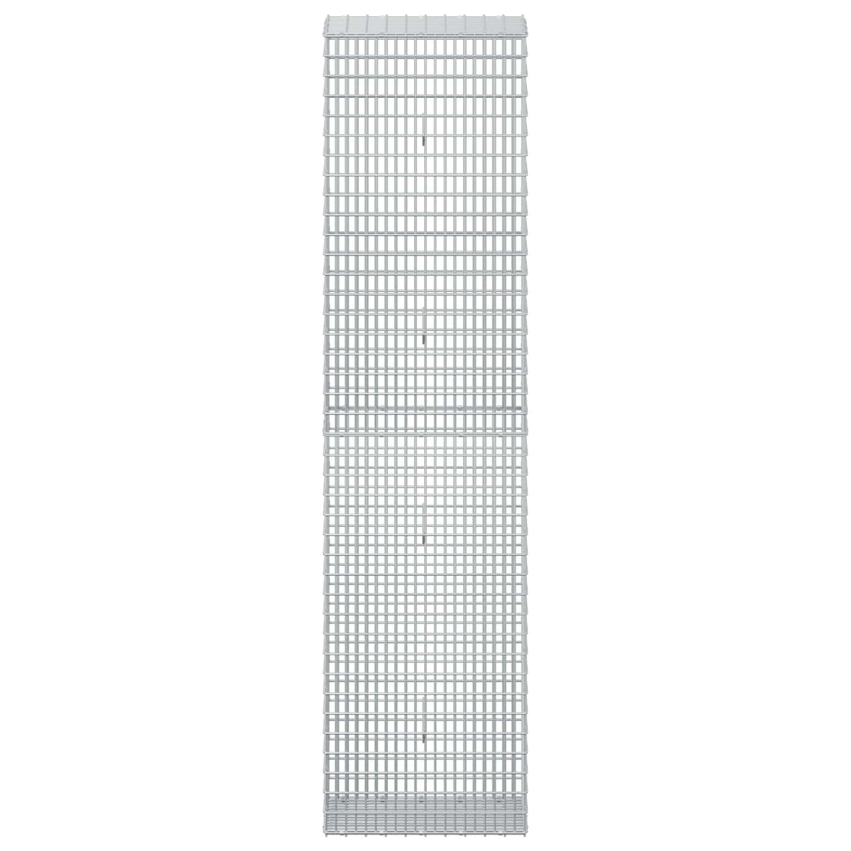 vidaXL Gabion z drutu 3,5 mm i siatką 5x2,5 cm 50x30x200 cm