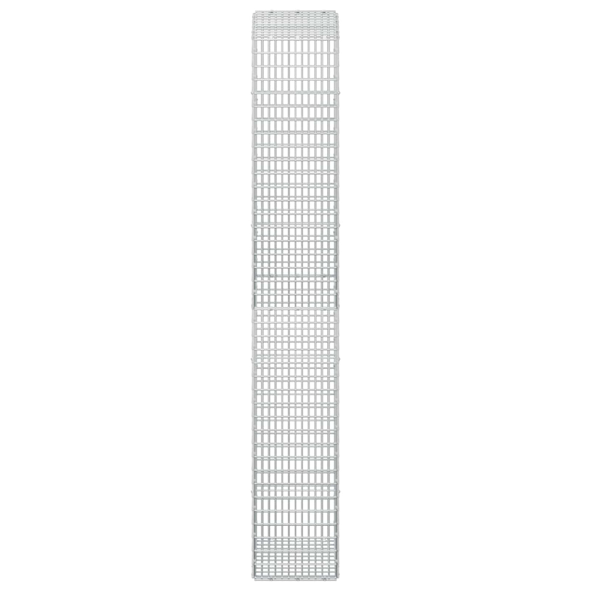 vidaXL Gabion z drutu 3,5 mm i siatką 5x2,5 cm 50x30x200 cm