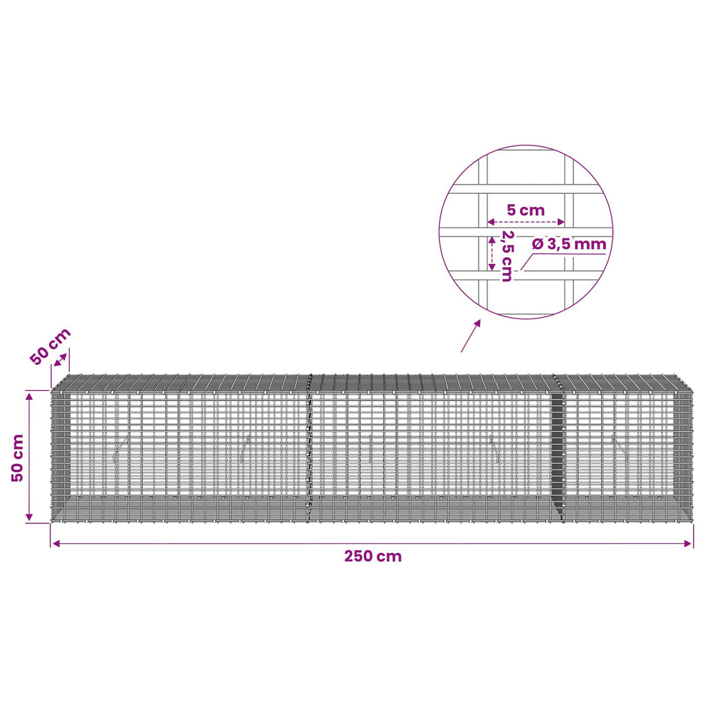 vidaXL Gabion z drutu 3,5 mm i siatką 5x2,5 cm 250x50x50 cm