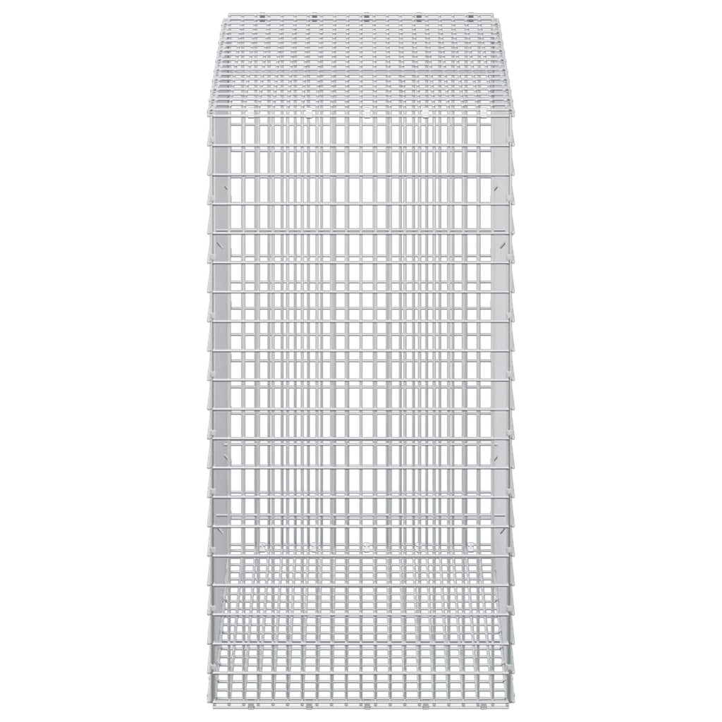 vidaXL Gabion z drutu 3,5 mm i siatką 5x2,5 cm 100x50x100 cm