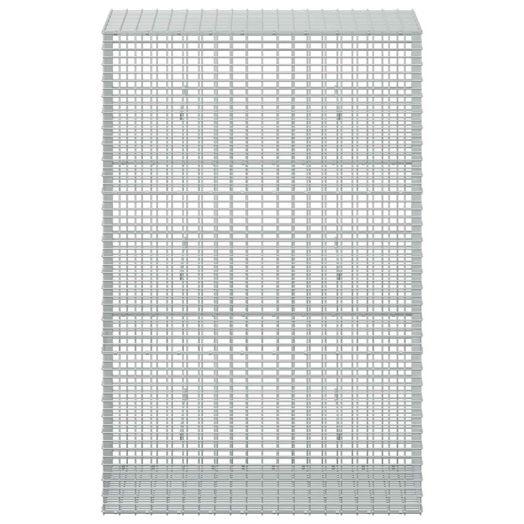 vidaXL Gabion z drutu 3,5 mm i siatką 5x2,5 cm 100x50x150 cm