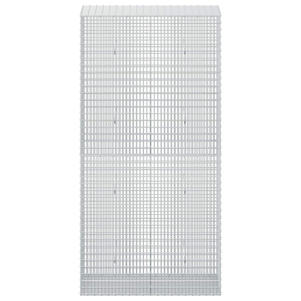 vidaXL Gabion z drutu 3,5 mm i siatką 5x2,5 cm 100x50x200 cm