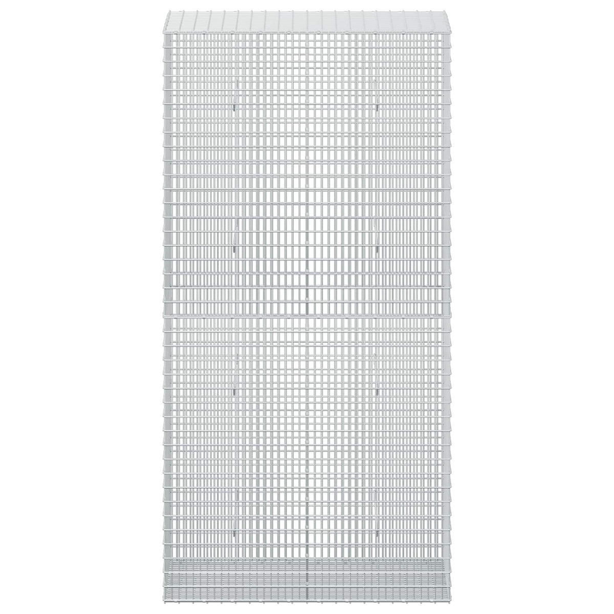 vidaXL Gabion z drutu 3,5 mm i siatką 5x2,5 cm 100x50x200 cm