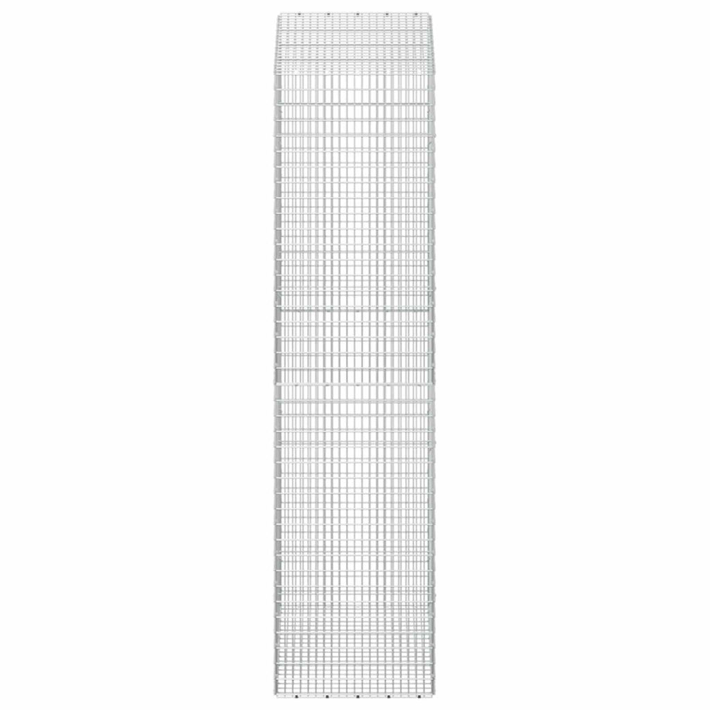 vidaXL Gabion z drutu 3,5 mm i siatką 5x2,5 cm 100x50x200 cm