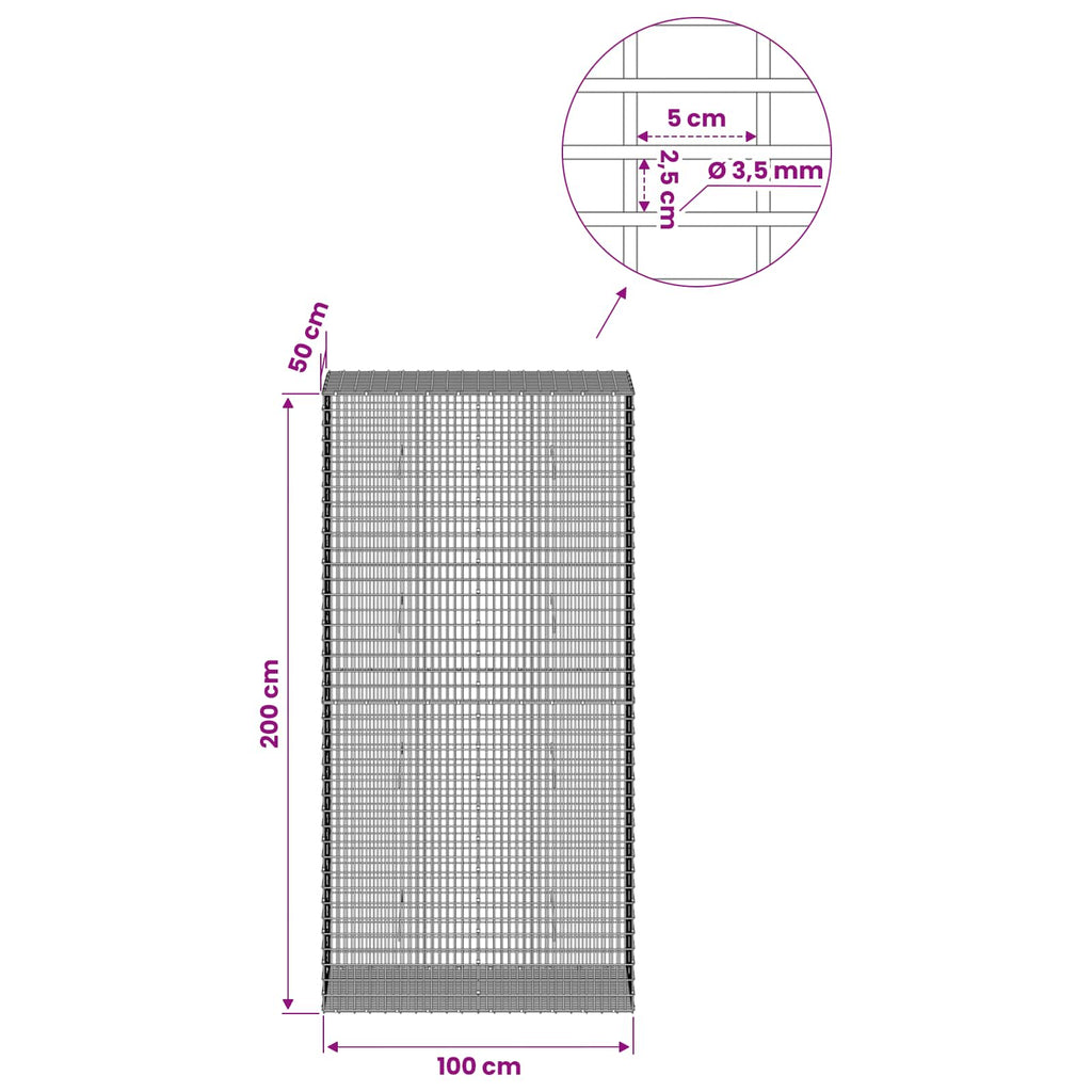 vidaXL Gabion z drutu 3,5 mm i siatką 5x2,5 cm 100x50x200 cm