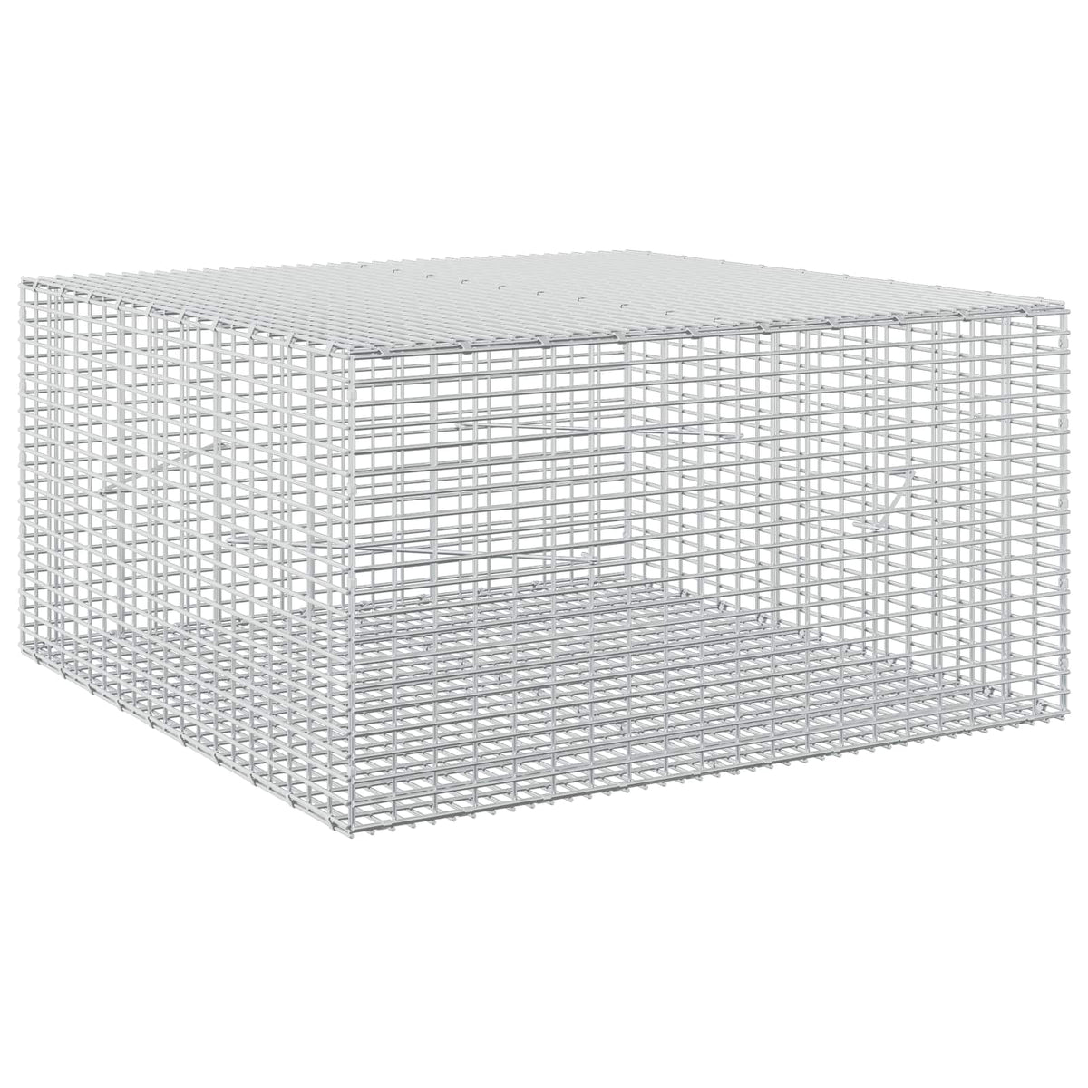 vidaXL Gabion z drutu 3,5 mm i siatką 5x2,5 cm 100x100x50 cm