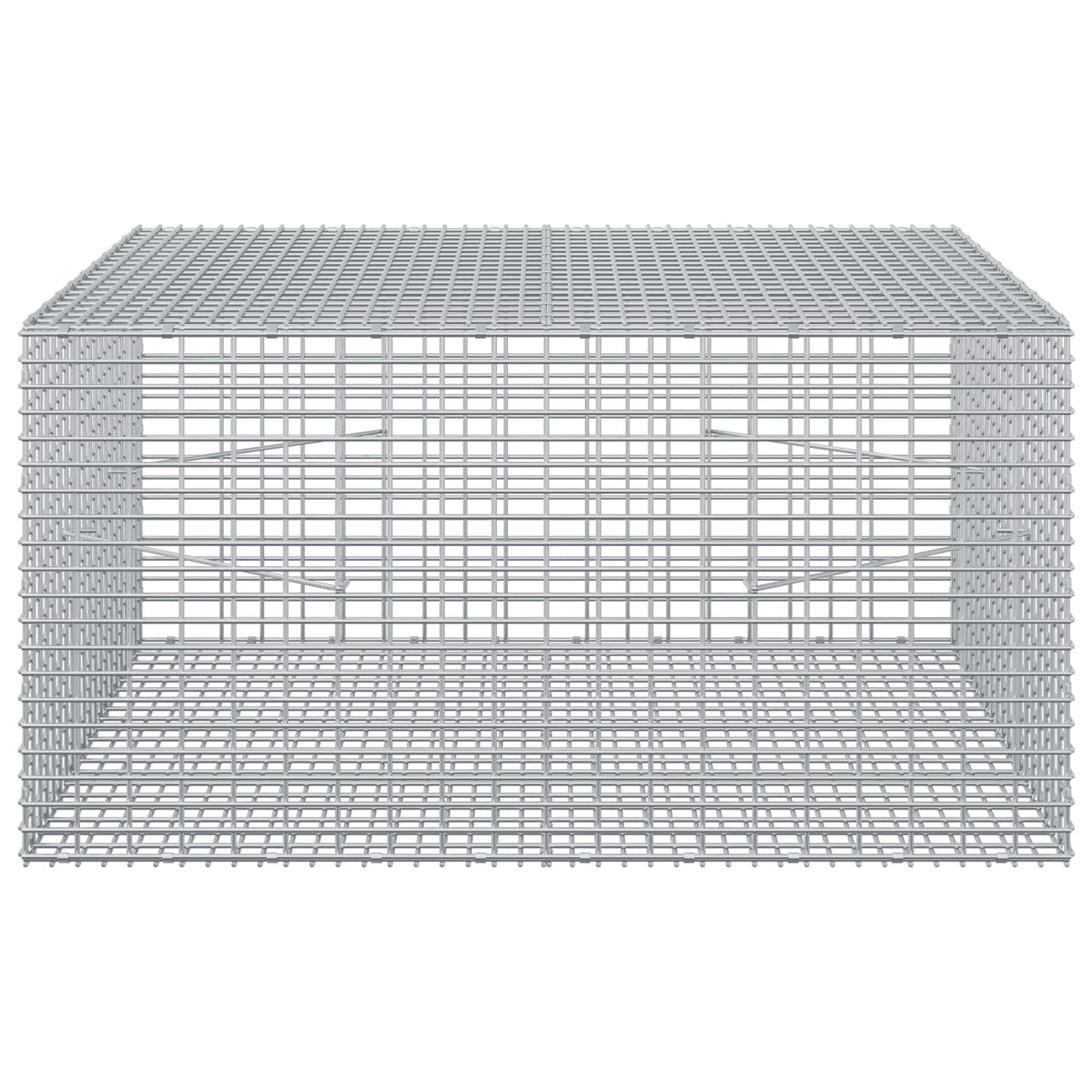vidaXL Gabion z drutu 3,5 mm i siatką 5x2,5 cm 100x100x50 cm
