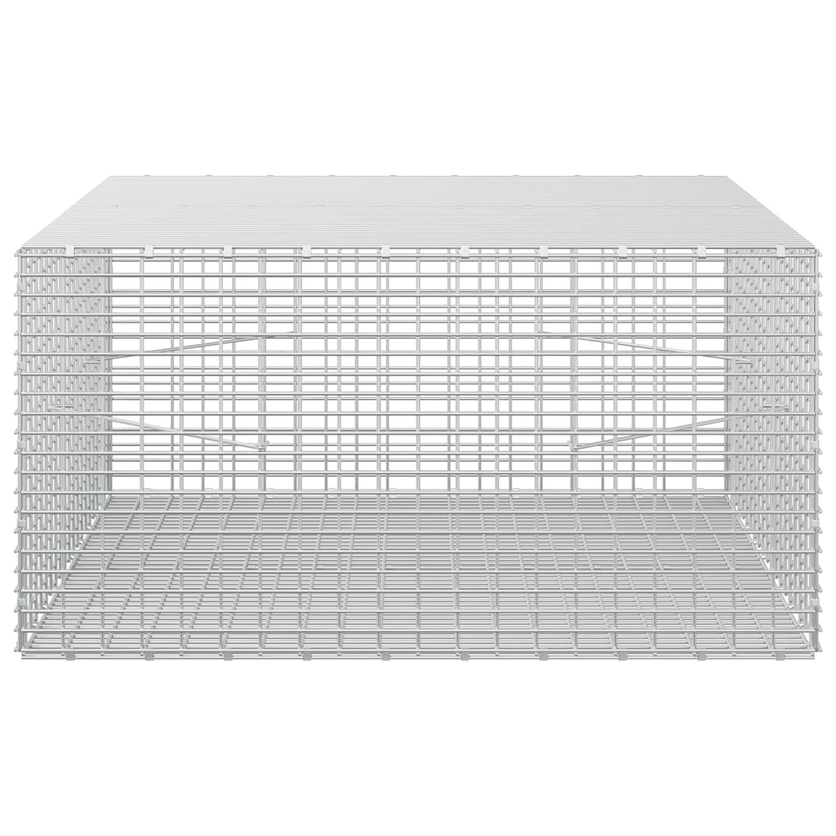 vidaXL Gabion z drutu 3,5 mm i siatką 5x2,5 cm 100x100x50 cm