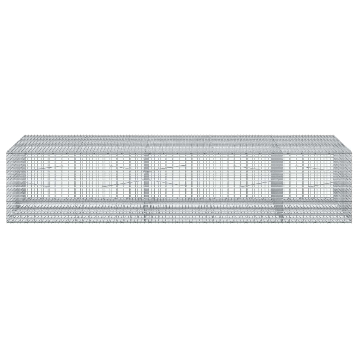 vidaXL Gabion z drutu 3,5 mm i siatką 5x2,5 cm 250x100x50 cm