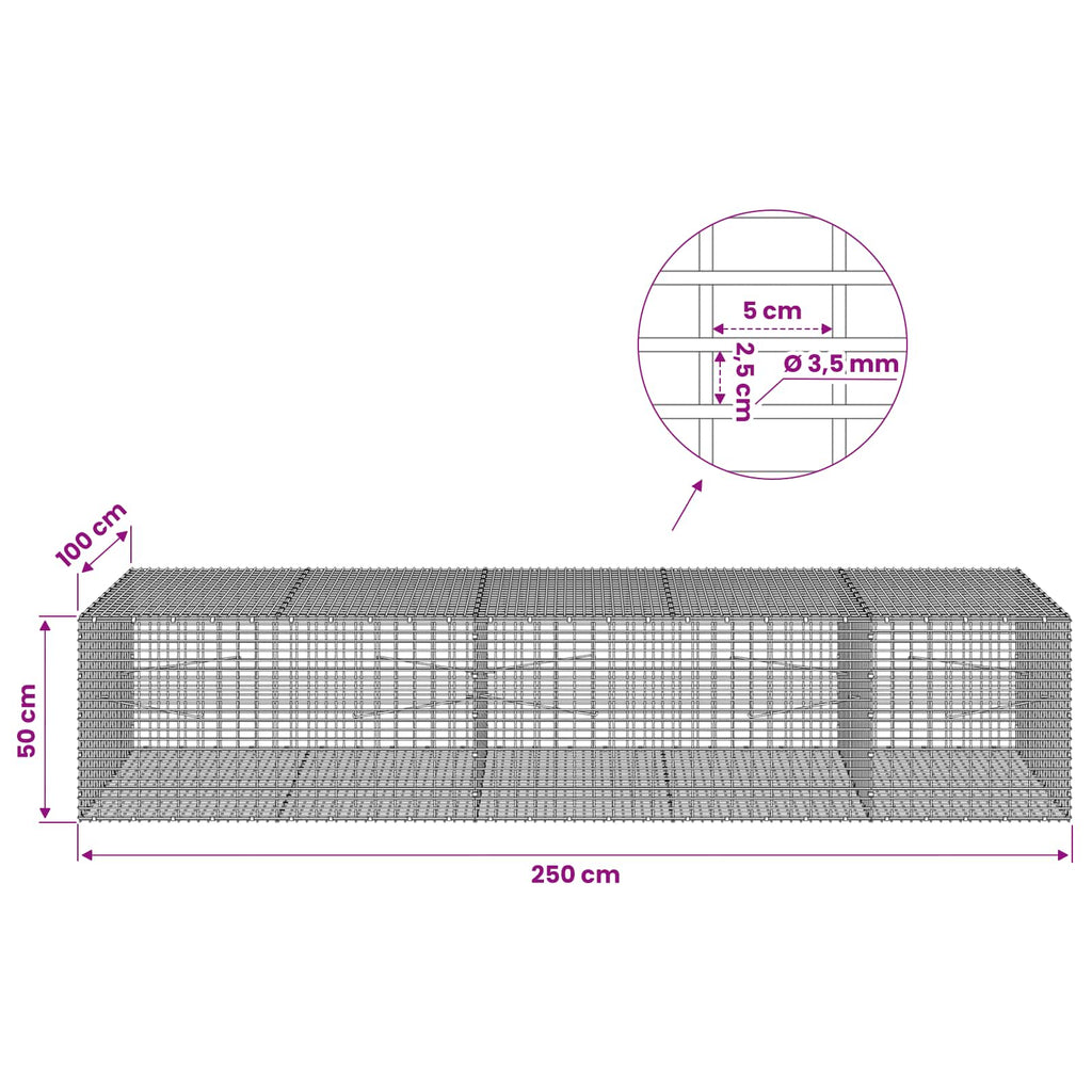 vidaXL Gabion z drutu 3,5 mm i siatką 5x2,5 cm 250x100x50 cm