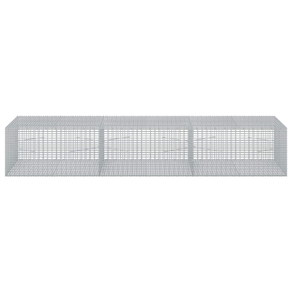 vidaXL Gabion z drutu 3,5 mm i siatką 5x2,5 cm 300x100x50 cm
