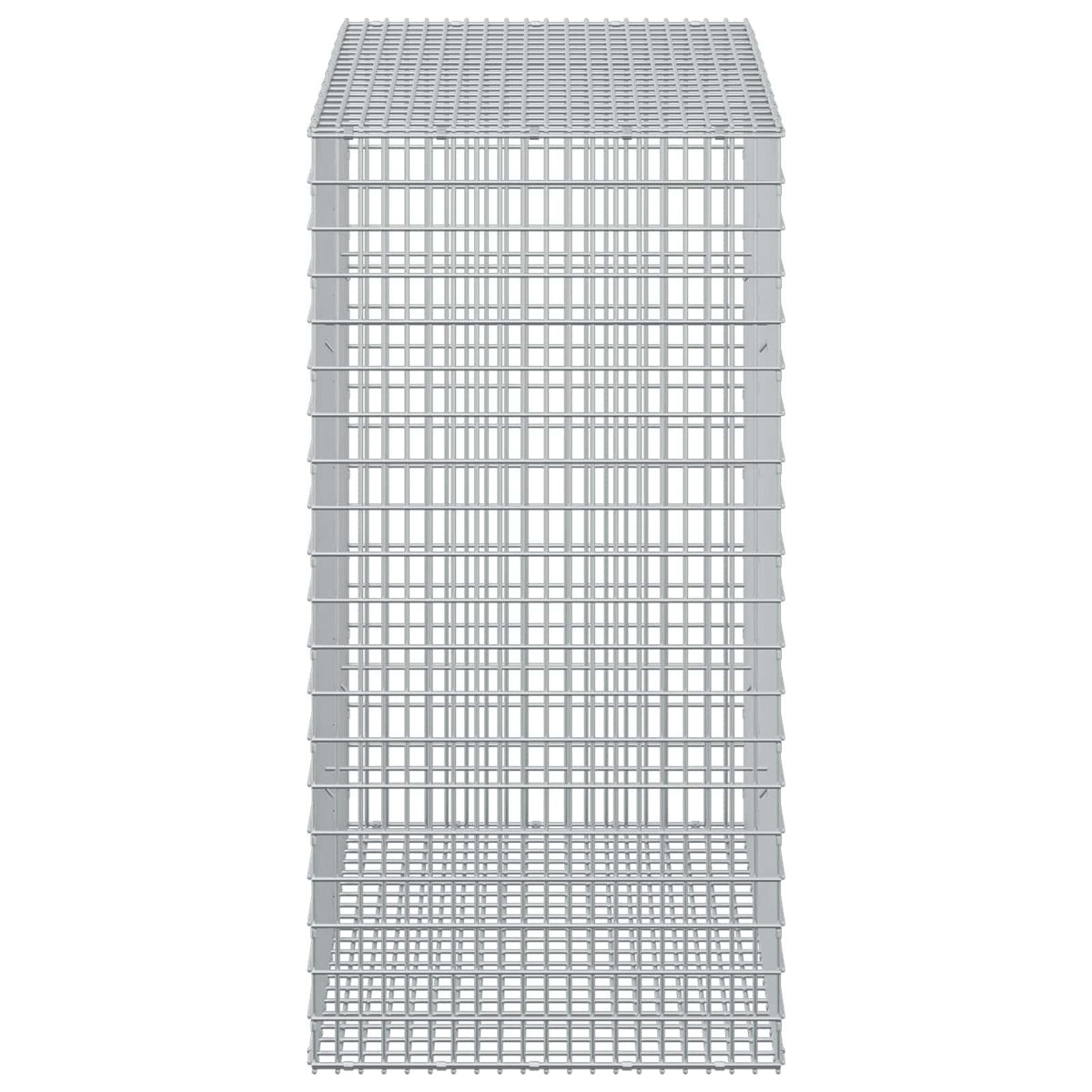 vidaXL Gabion z drutu 3,5 mm i siatką 5x2,5 cm 50x100x100 cm