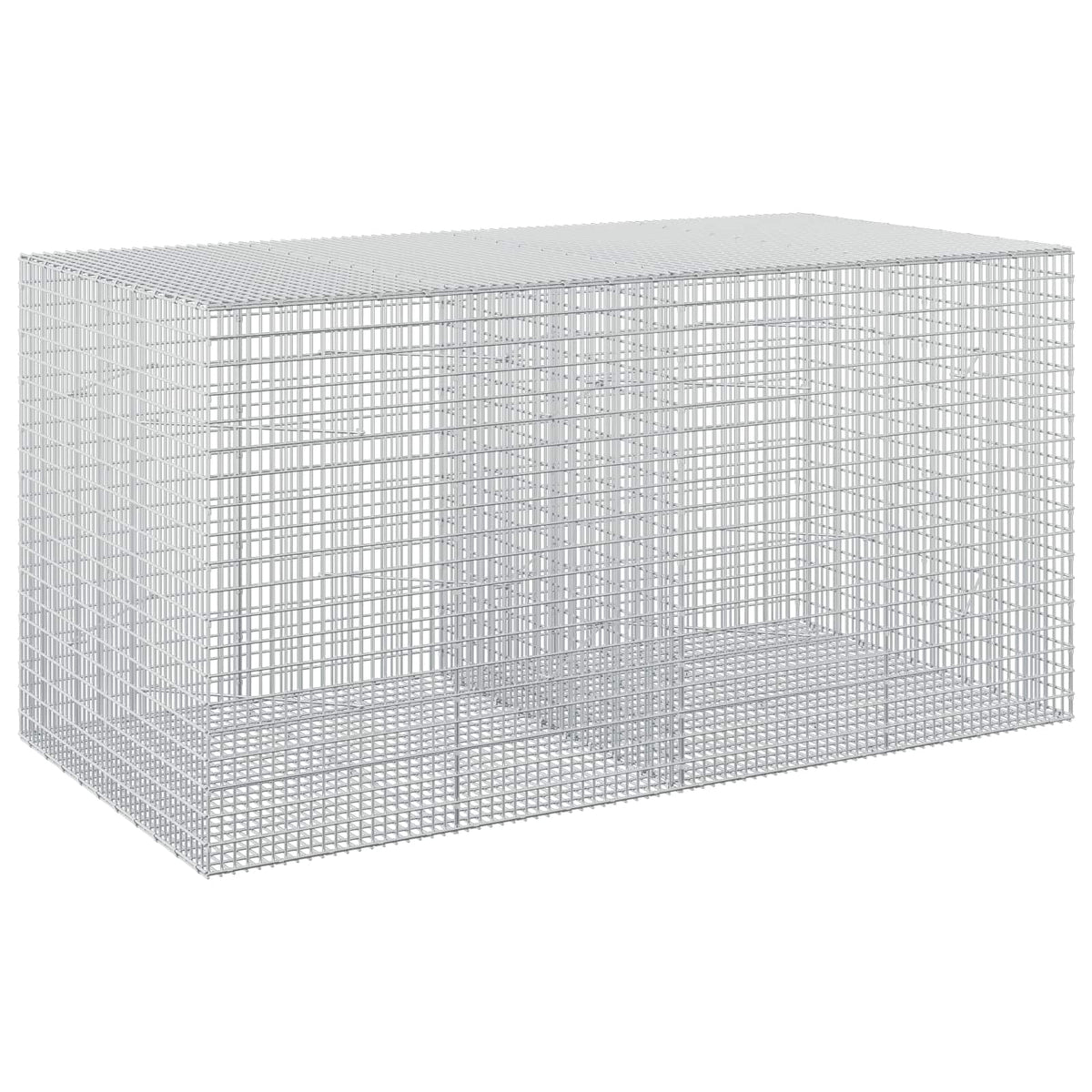 vidaXL Gabion z drutu 3,5 mm i siatką 5x2,5 cm 200x100x100 cm