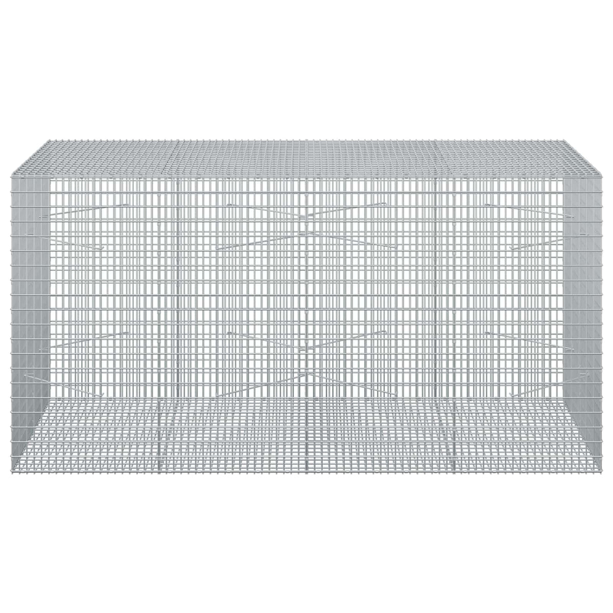 vidaXL Gabion z drutu 3,5 mm i siatką 5x2,5 cm 200x100x100 cm