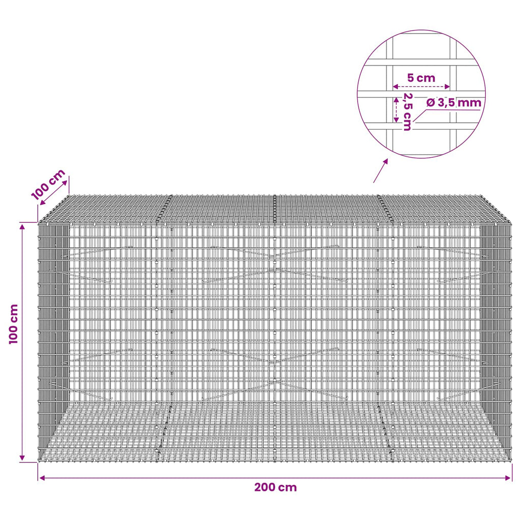 vidaXL Gabion z drutu 3,5 mm i siatką 5x2,5 cm 200x100x100 cm