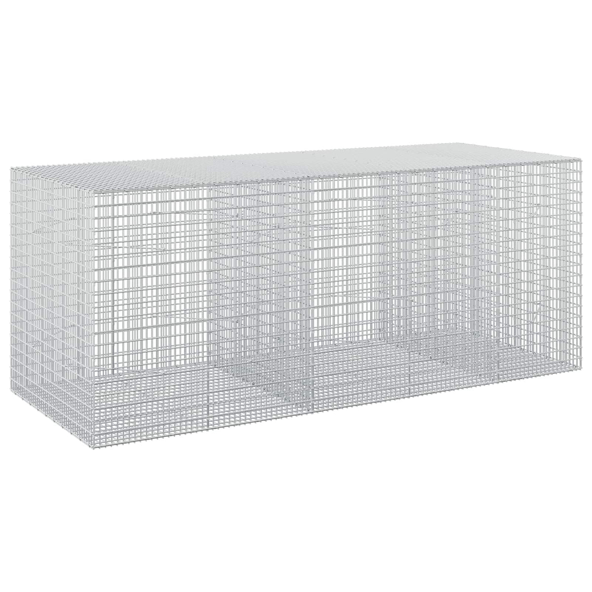 vidaXL Gabion z drutu 3,5 mm i siatką 5x2,5 cm 250x100x100 cm