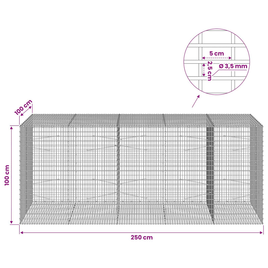 vidaXL Gabion z drutu 3,5 mm i siatką 5x2,5 cm 250x100x100 cm