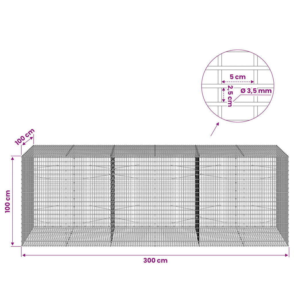 vidaXL Gabion z drutu 3,5 mm i siatką 5x2,5 cm 300x100x100 cm