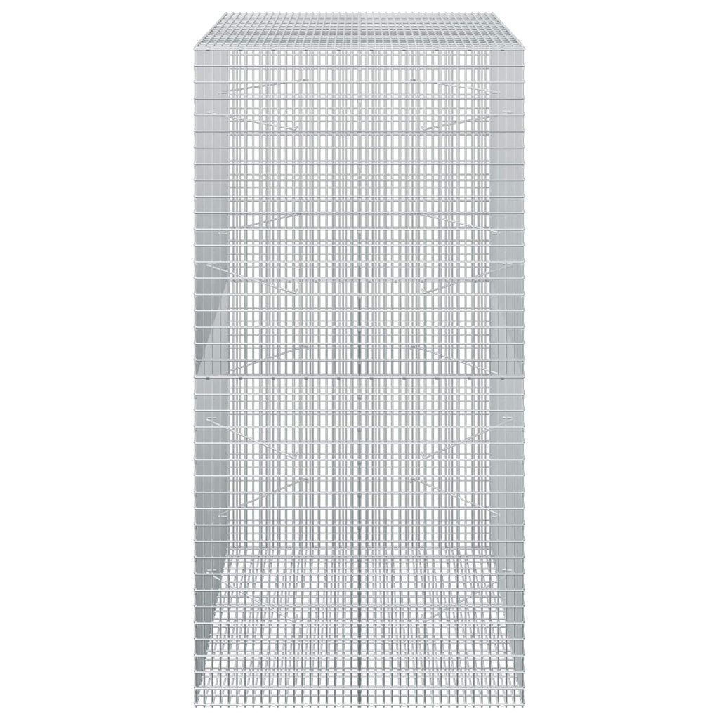 vidaXL Gabion z drutu 3,5 mm i siatką 5x2,5 cm 100x100x200 cm