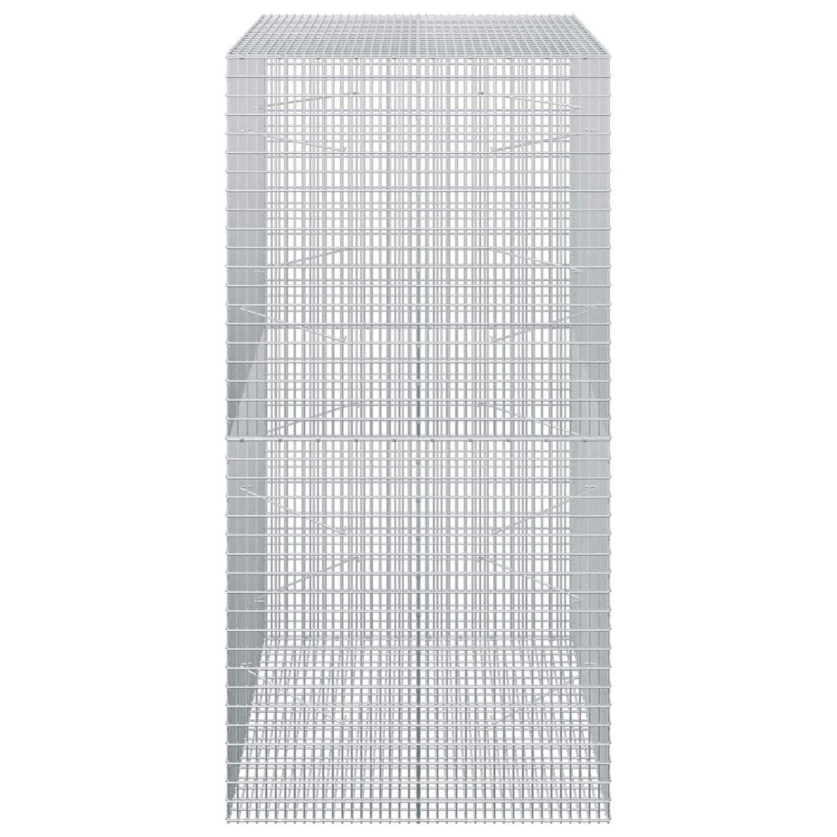 vidaXL Gabion z drutu 3,5 mm i siatką 5x2,5 cm 100x100x200 cm