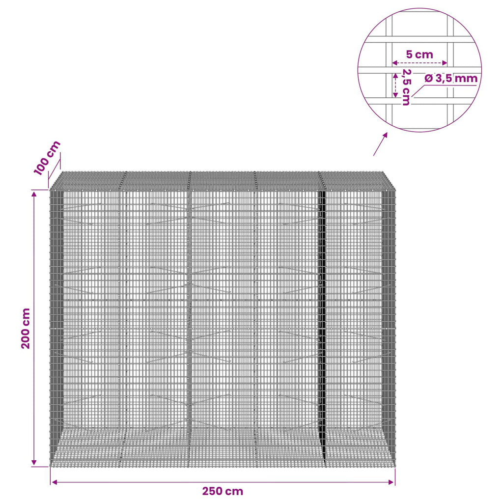 vidaXL Gabion z drutu 3,5 mm i siatką 5x2,5 cm 250x100x200 cm
