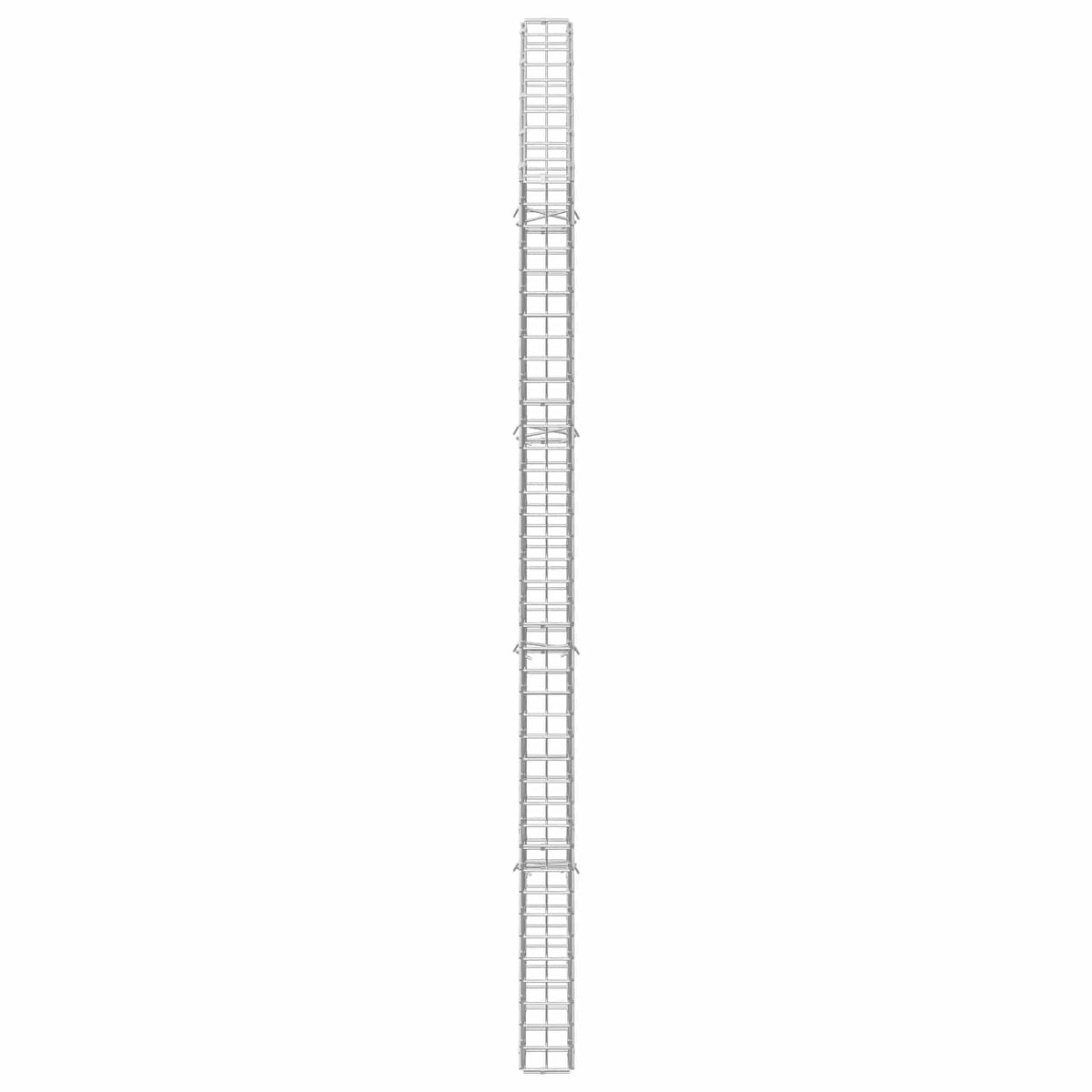 vidaXL Gabion z drutu 3,5 mm i siatką 5x5 cm 50x10x200 cm