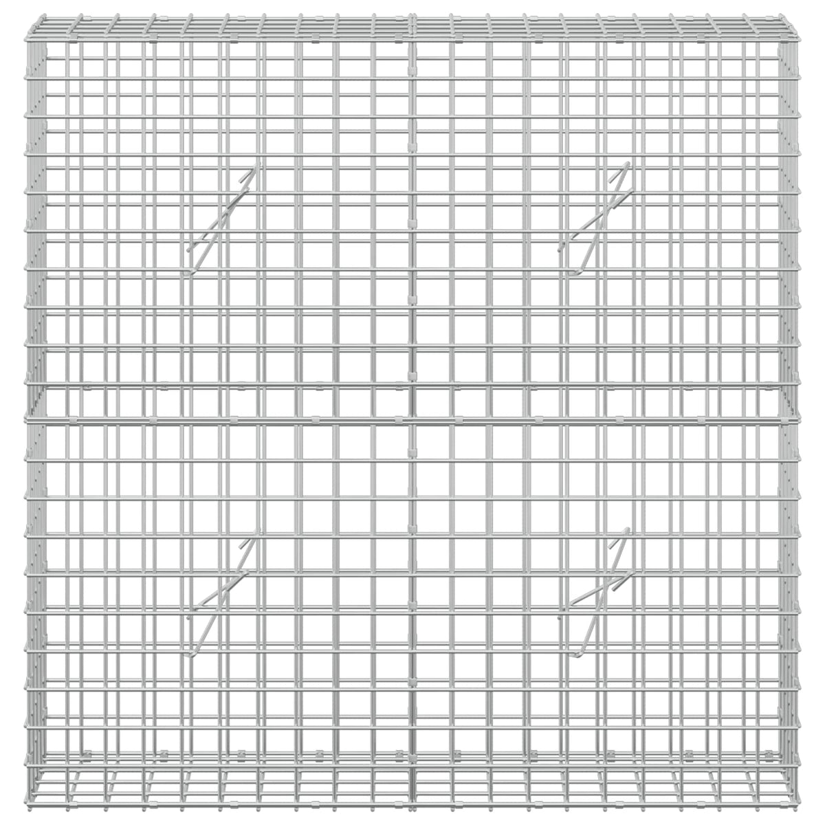 vidaXL Gabion z drutu 3,5 mm i siatką 5x5 cm 100x20x100 cm