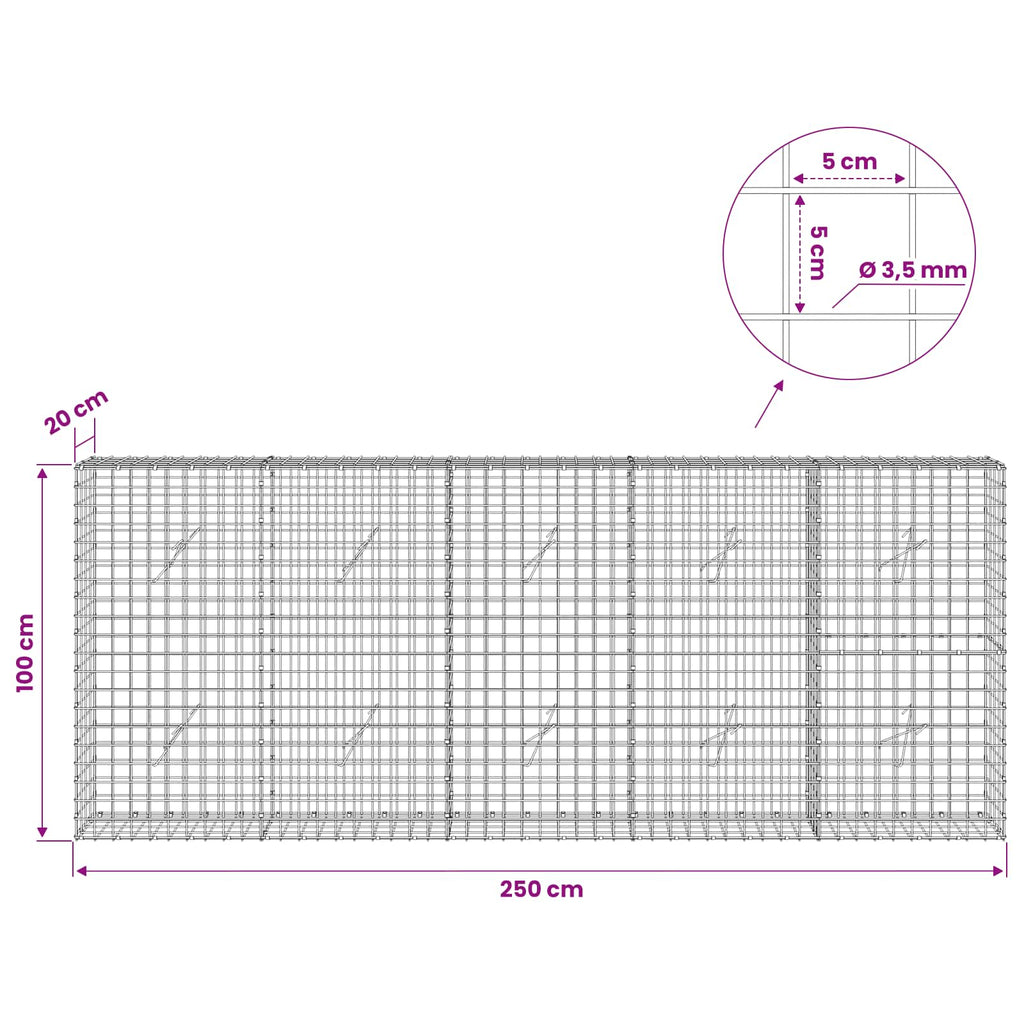 vidaXL Gabion z drutu 3,5 mm i siatką 5x5 cm 250x20x100 cm