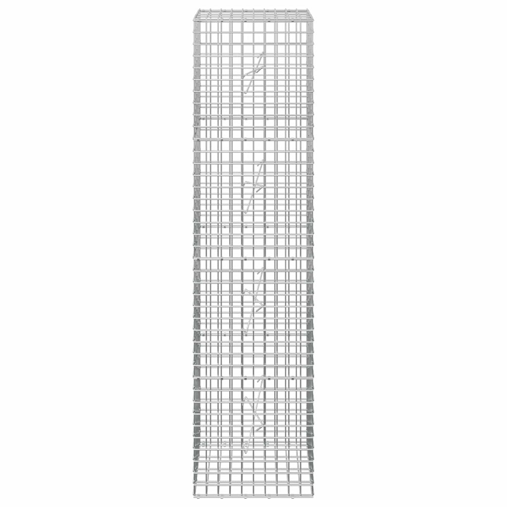 vidaXL Gabion z drutu 3,5 mm i siatką 5x5 cm 50x20x200 cm