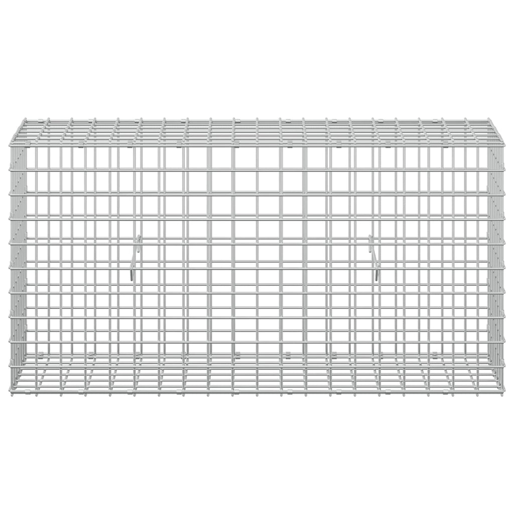 vidaXL Gabion z drutu 3,5 mm i siatką 5x5 cm 100x30x50 cm